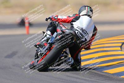 media/Oct-08-2022-SoCal Trackdays (Sat) [[1fc3beec89]]/Turn 11 Backside (1145am)/